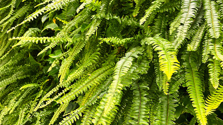 Similar image 21124331