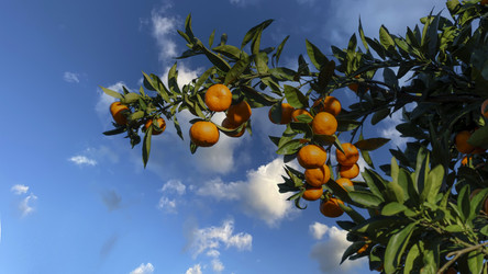 Similar image 21124334