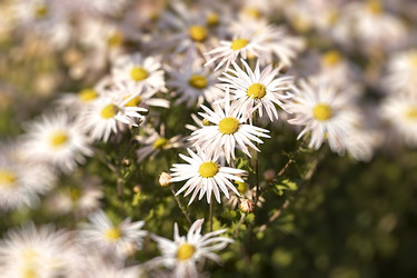 Similar image 21124335