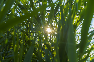 Similar image 21124339