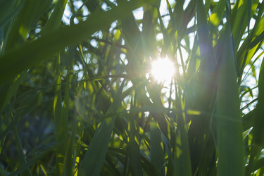 Similar image 21124341