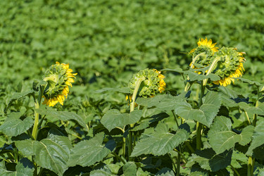 Similar image 21126591