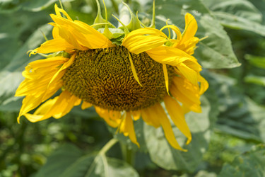 Similar image 21124352