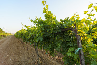 Similar image 21124558