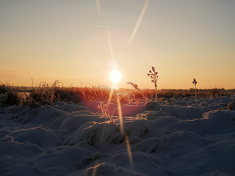 Similar image 21118346