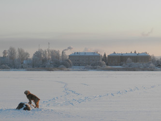 Similar image 21118347