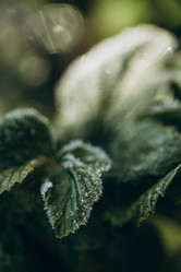 Similar image 21129675