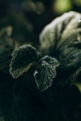 Similar image 21129676