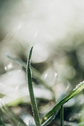 Similar image 21129677