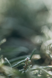 Similar image 21129678