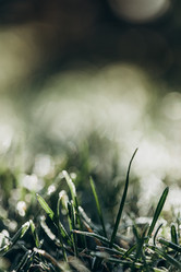 Similar image 21129679