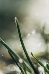 Similar image 21129680