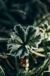 Similar image 21129681