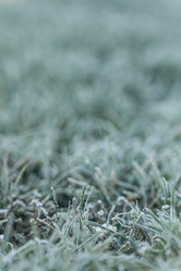 Similar image 21129682