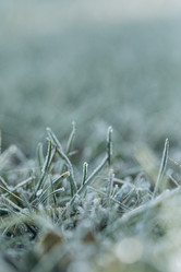 Similar image 21129683