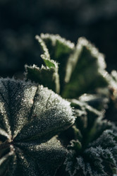 Similar image 21129684