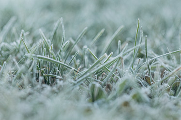 Similar image 21129685