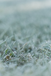 Similar image 21129686