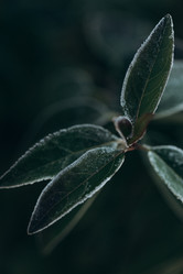 Similar image 21129687