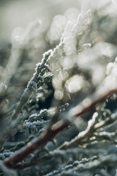 Similar image 21129688