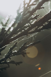 Similar image 21129691