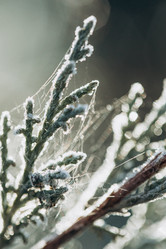 Similar image 21129692