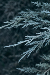 Similar image 21129693