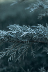 Similar image 21129694