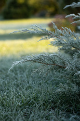 Similar image 21129695