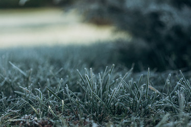 Similar image 21129696