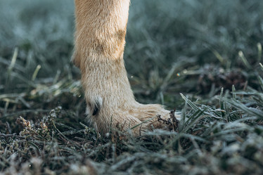 Similar image 21129697