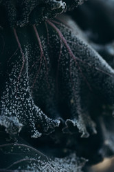 Similar image 21129698