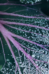 Similar image 21129699