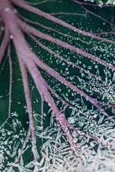 Similar image 21129700