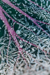 Similar image 21129701