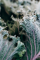 Similar image 21129702