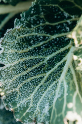 Similar image 21129703