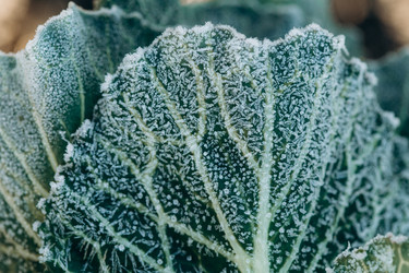 Similar image 21129704