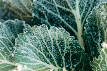 Similar image 21129705