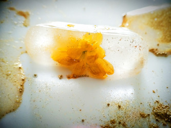 Similar image 21129706