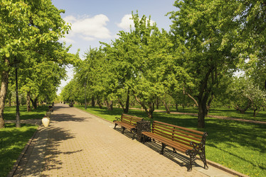 Similar image 21118273