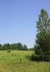 Similar image 21118274