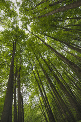 Similar image 21118275