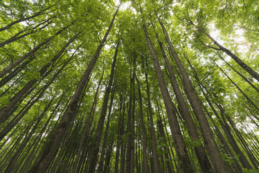 Similar image 21118276