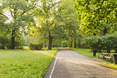 Similar image 21118277