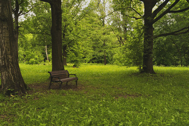 Similar image 21118279