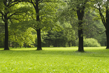 Similar image 21118289