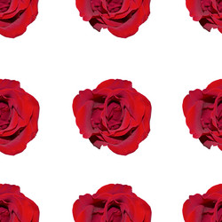 Similar image 21118292