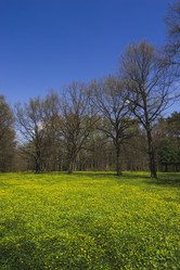 Similar image 21118293