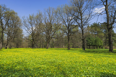 Similar image 21118294